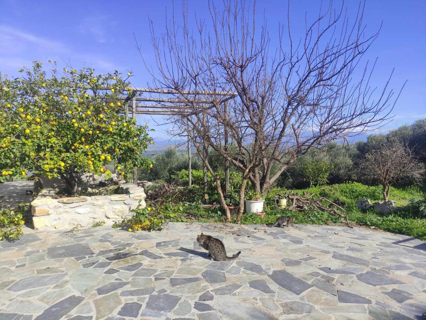 Aletraki -Off-Grid Retreat Above Heraklion, Peaceful Views Archanes Eksteriør billede
